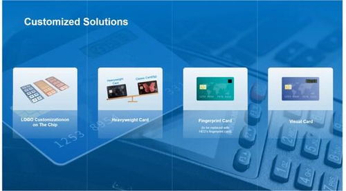 華大電子重磅亮相Seamless 2025，用芯助力數(shù)字安全新時(shí)代技術(shù)服務(wù)